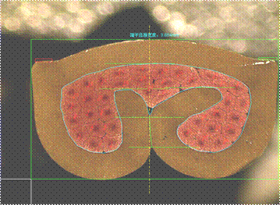 全自動端子截面分析儀 全自動端子截面分析儀